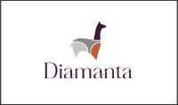 Oz Solutions implementó Odoo en Diamanta